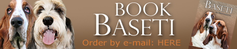 book Basset Hound