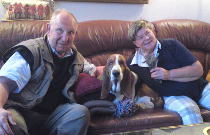 Basset hound Fiesta