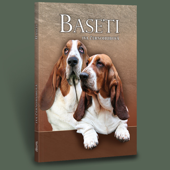Baptism og book Baseti