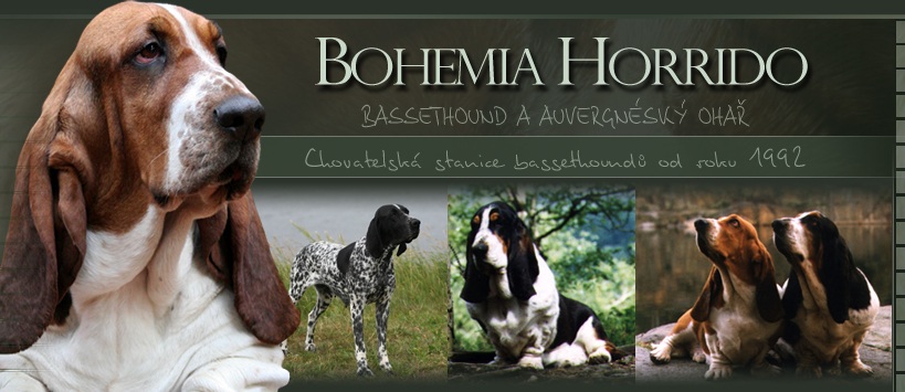 Bohemia Horrido